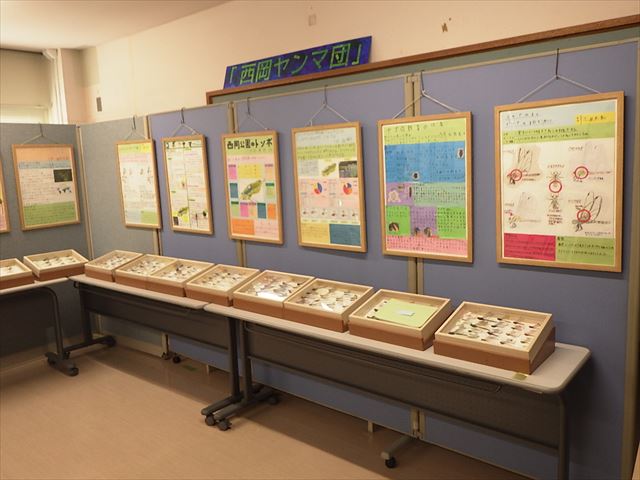 ヤンマ団の展示の様子