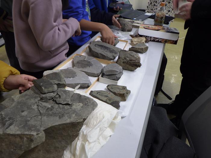 実物展示された植物化石を見る子どもたち