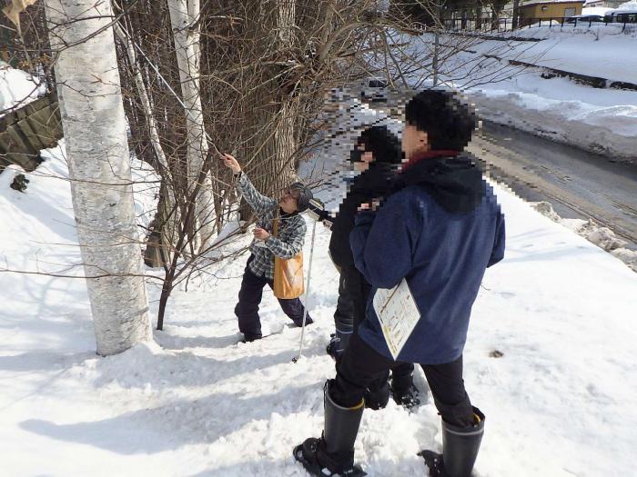 屋外で学芸員と冬芽を観察する様子2