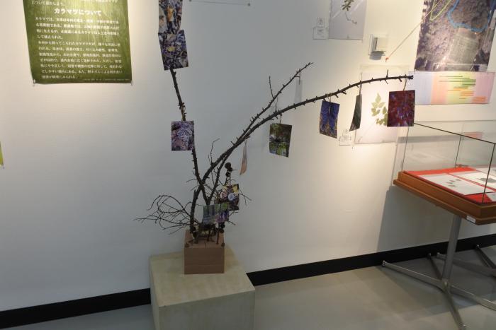 札幌大学の巡回展示の様子3