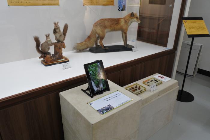 札幌大学の巡回展示の様子1