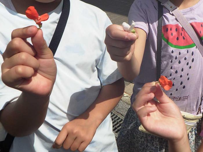はなまめの花を持っている子どもたち