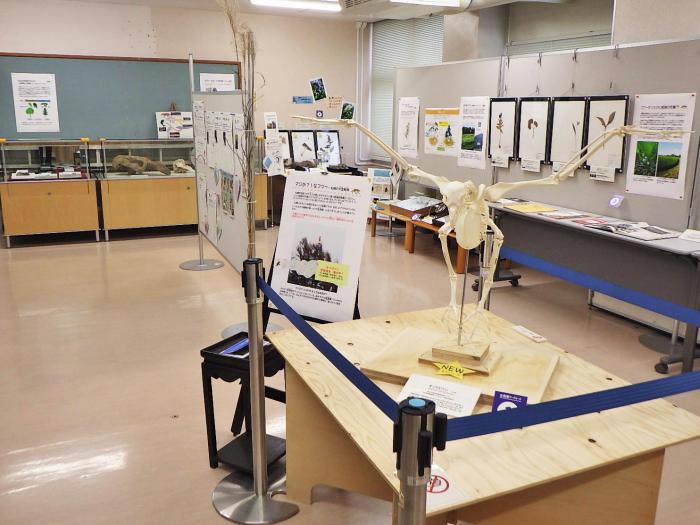 となりのフツーさん展示風景