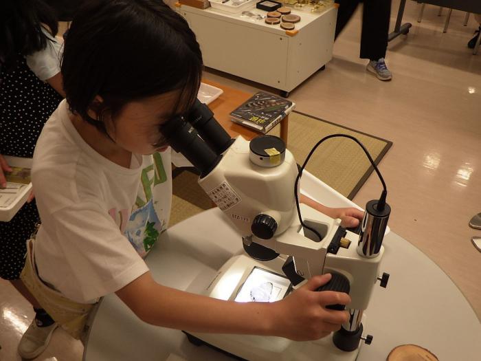 顕微鏡で観察している様子2