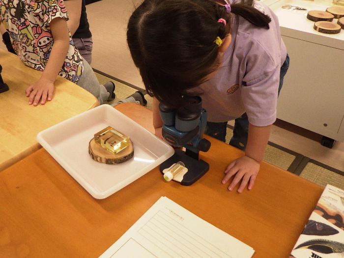 顕微鏡で観察している様子1