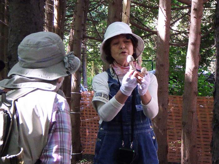 きのこウオッチング2024年度の様子