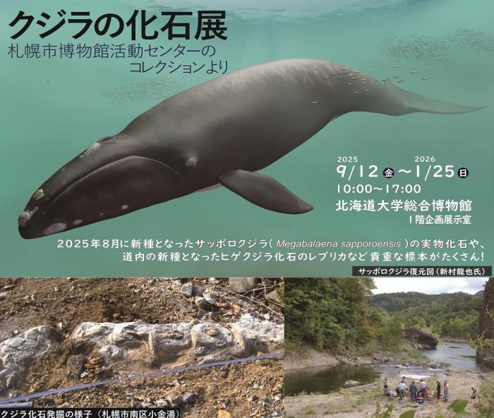 クジラの化石展ポスター上部2