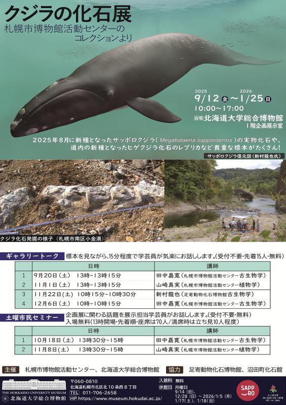 クジラ化石展（北海道大学総合博物館）