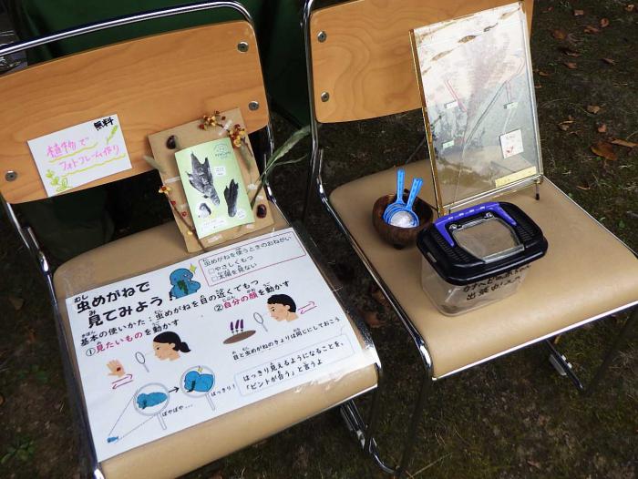 西岡ピクニック虫眼鏡で観察の様子