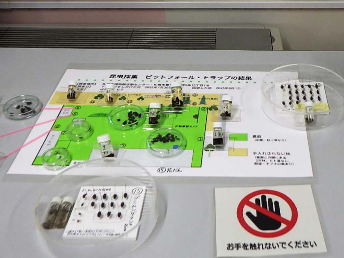 地図の上に、見つかった場所がポイントされ、ゴミムシダマシなどの昆虫を展示している。