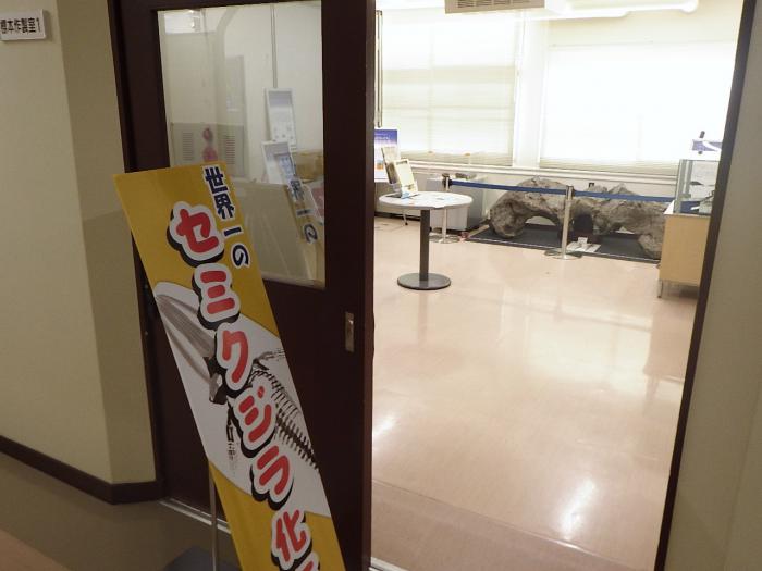 クジラ化石展様子1