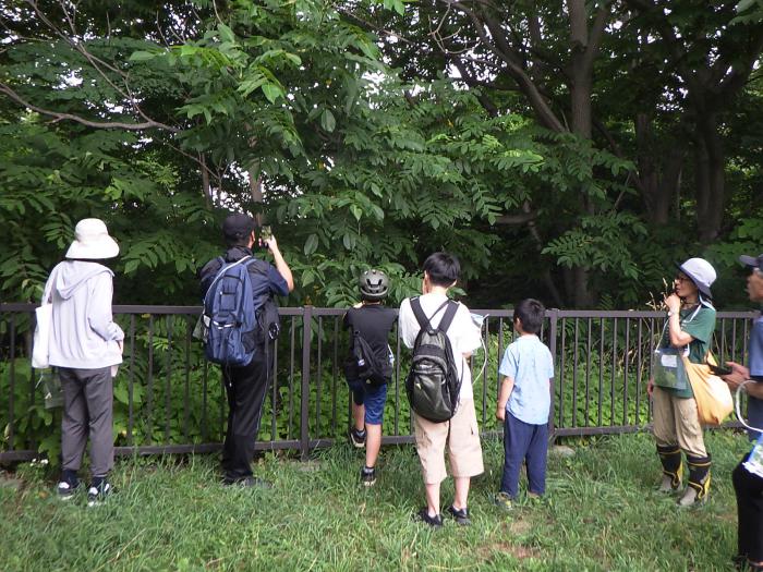 2025月寒公園自然観察会のようす2