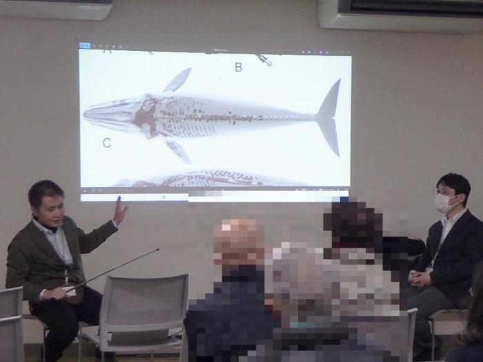 新村学芸員のミュージアムトークの様子