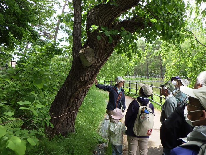 月寒公園自然観察会の様子