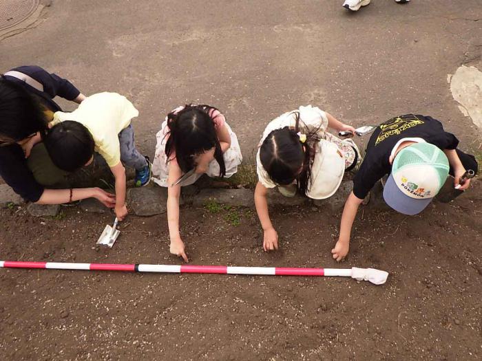 タネまきの様子。長さを測っています。