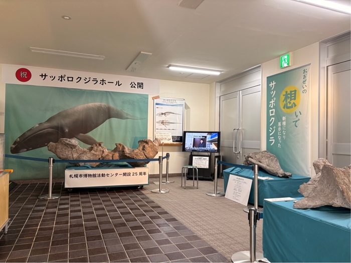 サッポロクジラホールのようす(映像展示)