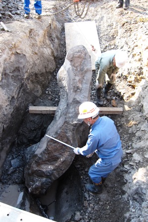 2011クジラ化石発掘の様子3