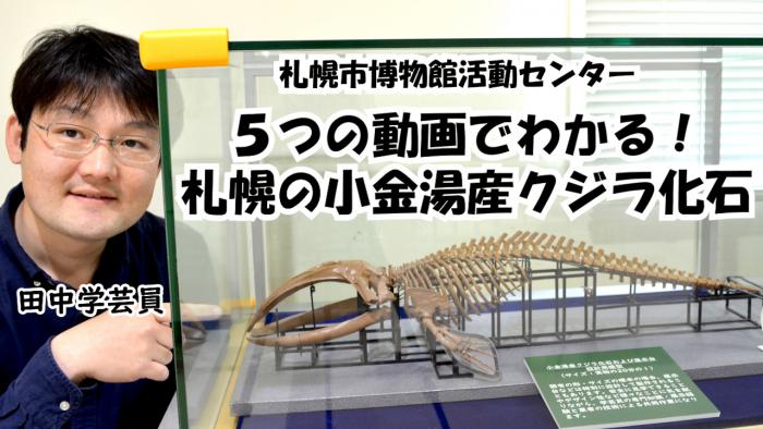 5つの動画でわかる！札幌の小金湯産クジラ化石のサムネイル