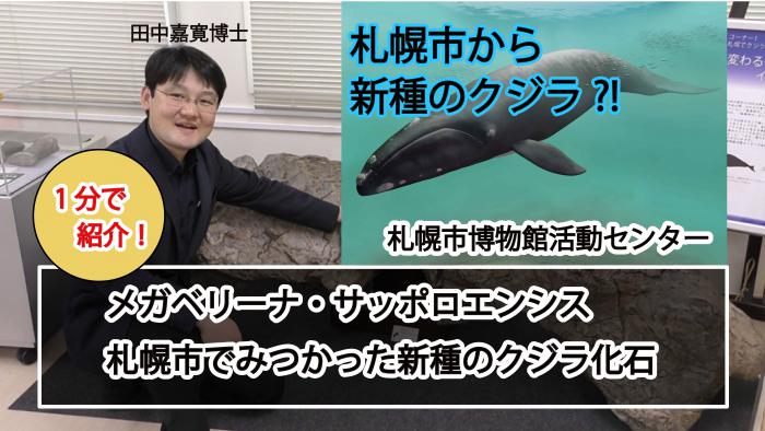 メガベリーナ・サッポロエンシス動画のサムネイル
