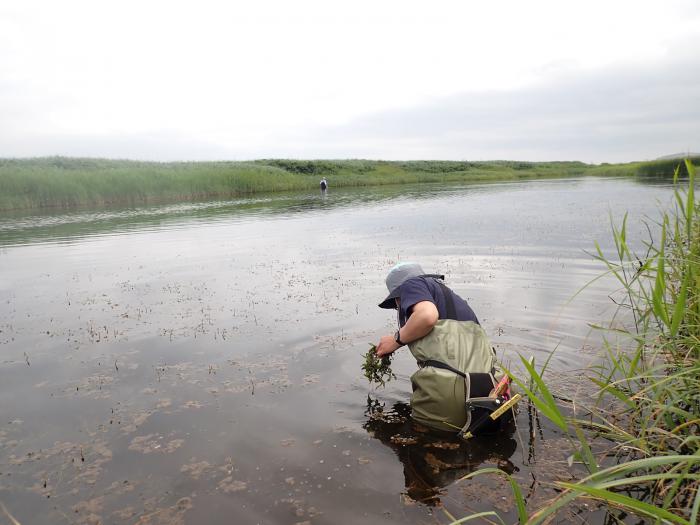 山崎学芸員調査中風景