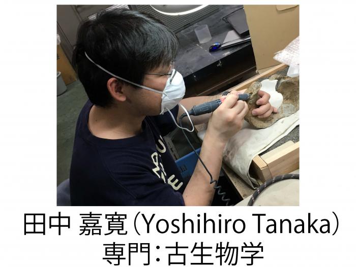 田中学芸員
