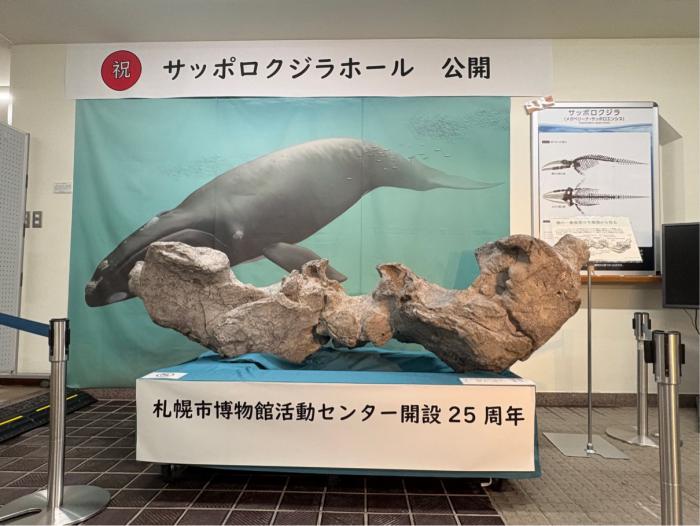 サッポロクジラホール展示のようす