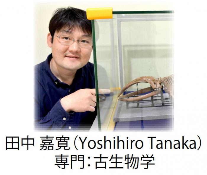 田中学芸員の写真3