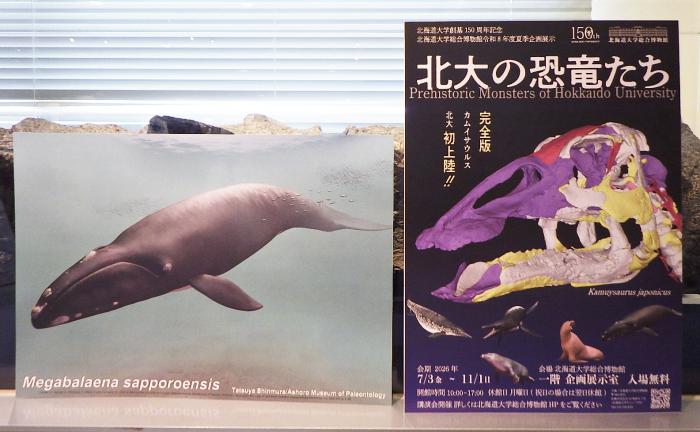 特別展「北大の恐竜たち」ポスター
