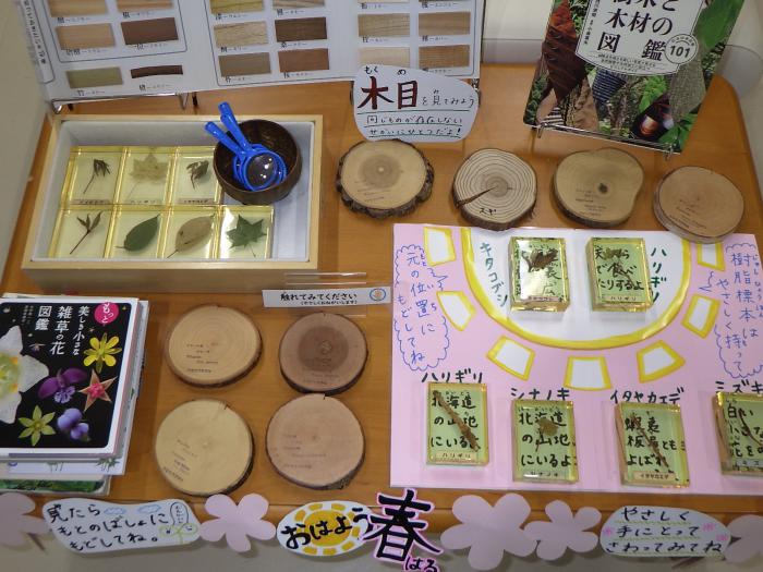 図書コーナー春展示