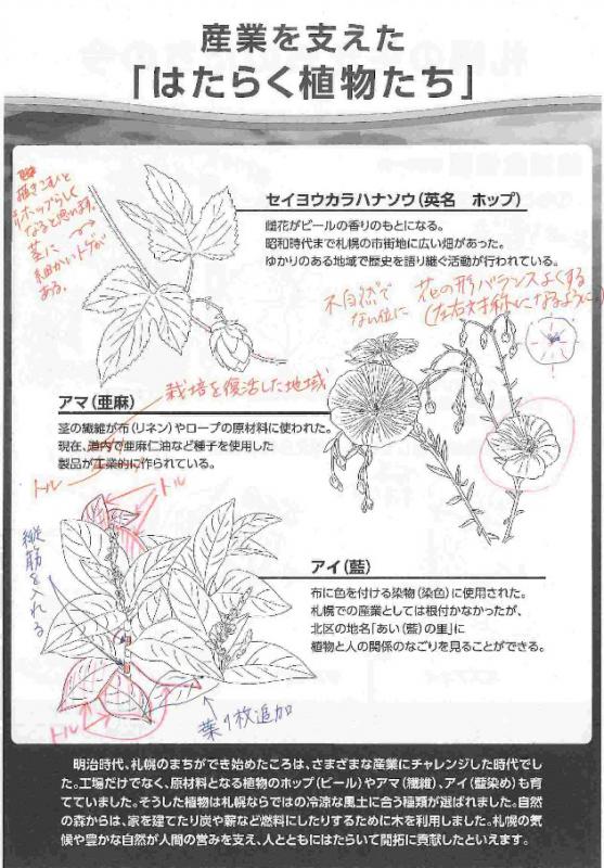 新しい展示を修正する過程の例