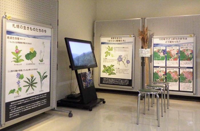 新しい常設展示の外観