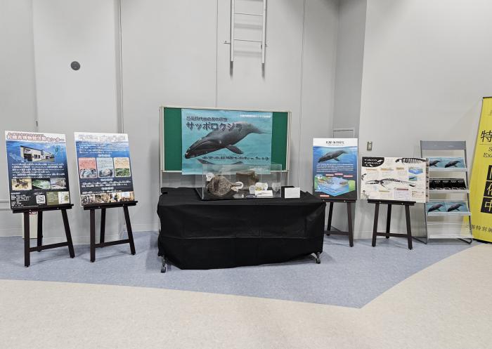 青少年科学館展示遠くから