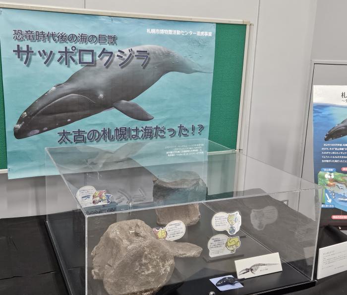 青少年科学館展示近くから