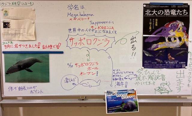 田中学芸員板