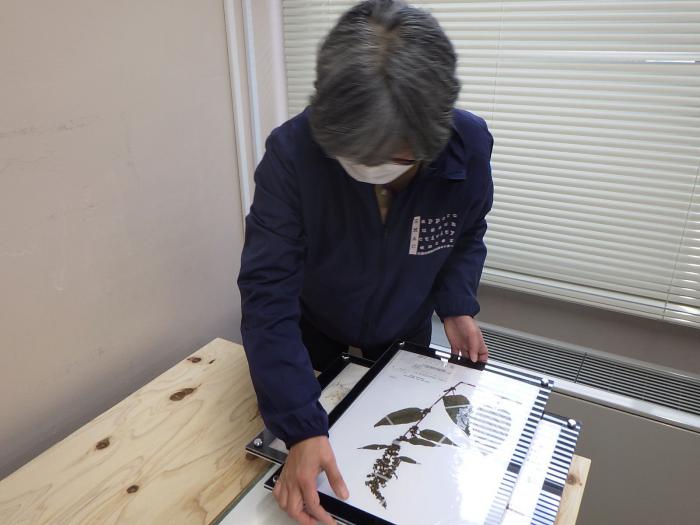 棚に展示物を並べている様子