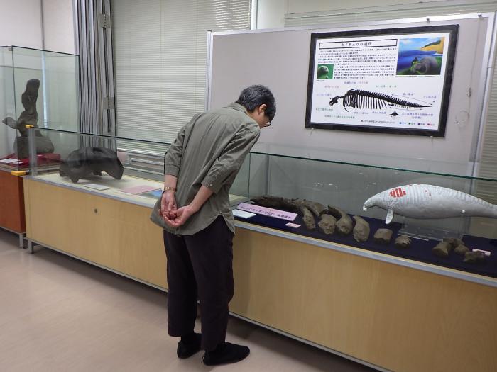 カイギュウ展