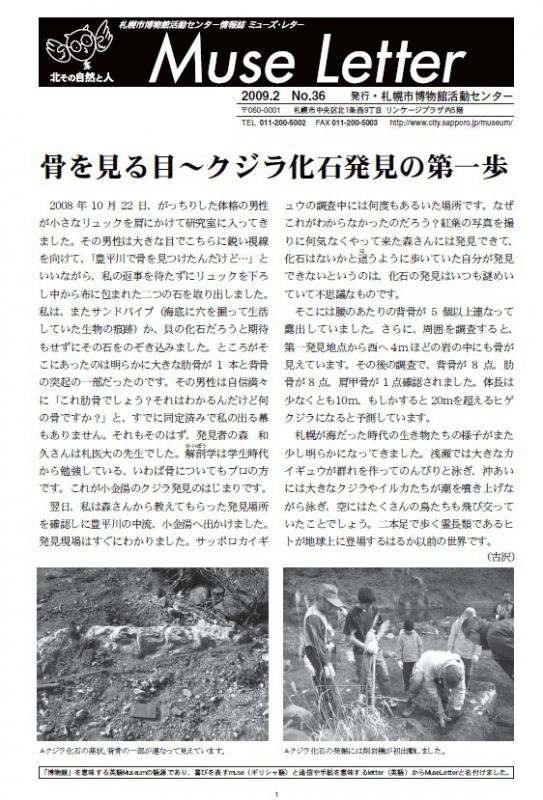 ミューズレター36号の表紙