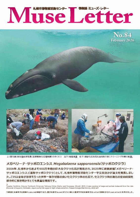 ミューズ・レター第84号の表紙