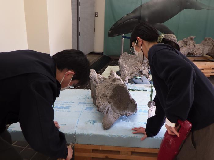 田中学芸員のこぎり中