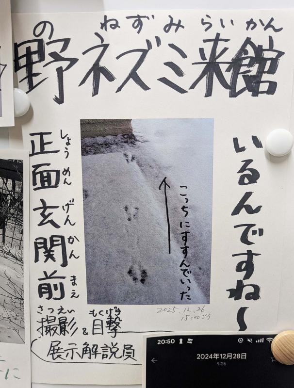 センターの入り口で撮影した、ネズミの足跡の写真