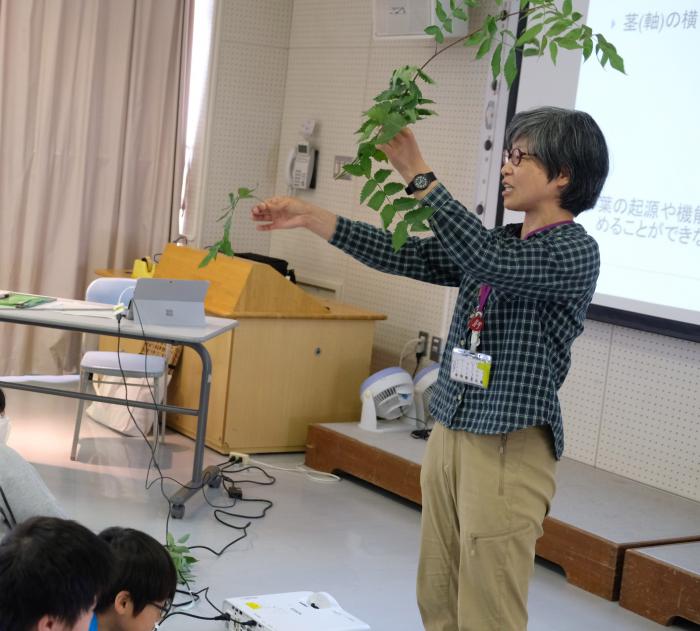 栄町小学校での授業の様子。生の木の枝を使って説明している。