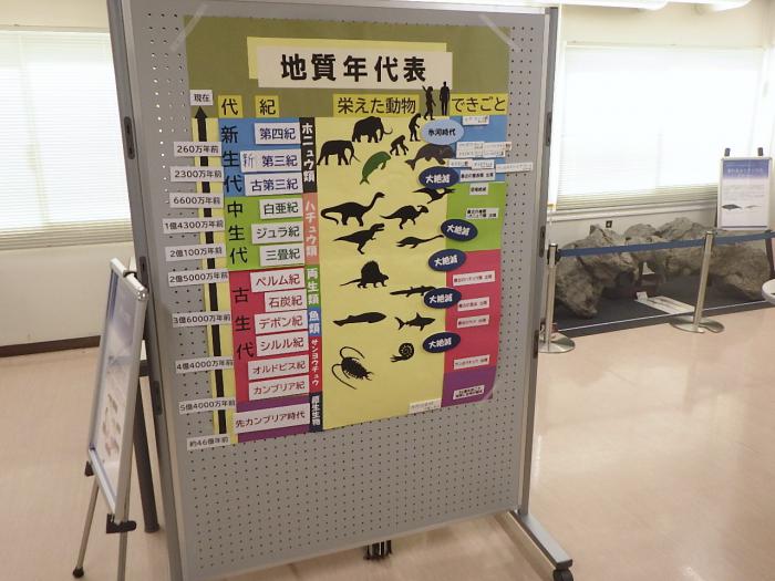 クジラ企画展で展示している古代年代表