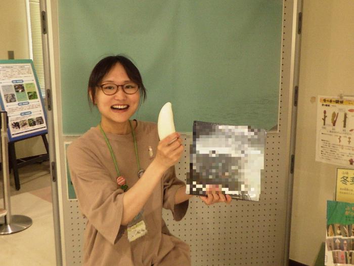 標本と絵本の準備