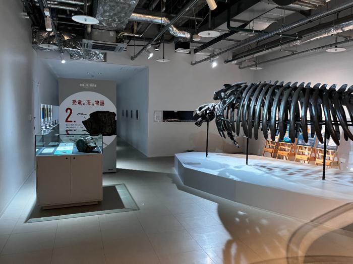 サッポロカイギュウ(AOAOSAPPOROで展示中)