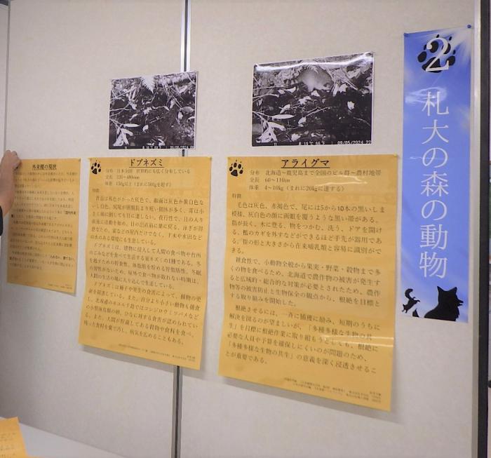 札幌大学巡回展を準備する学生さん002