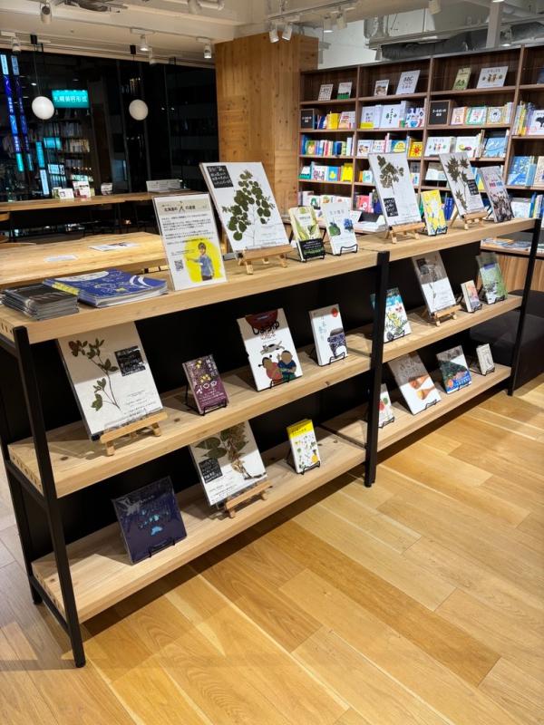 山崎学芸員が選書した本が並ぶ棚