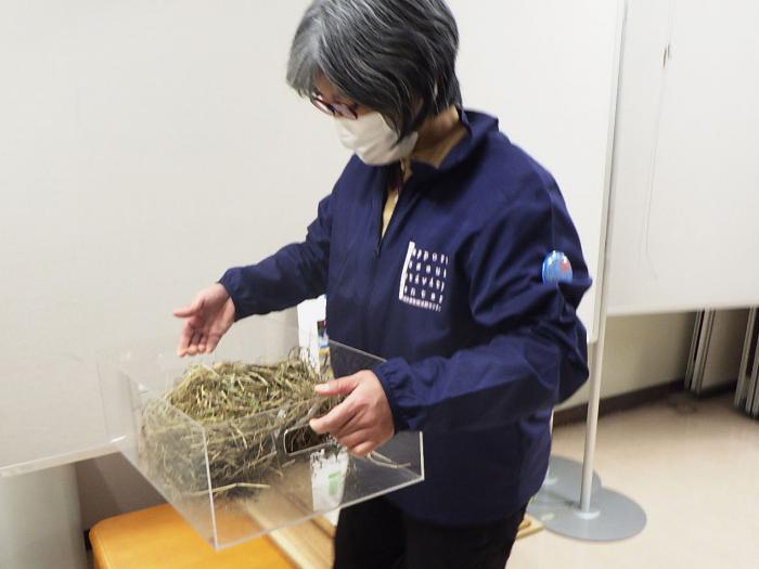 山崎学芸員が鳥の巣の標本を運んでいるようす