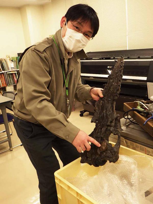 田中学芸員準備中