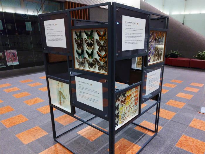 サッポリウム展示風景