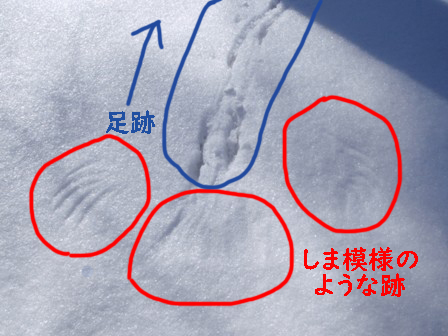 あしあととしま模様